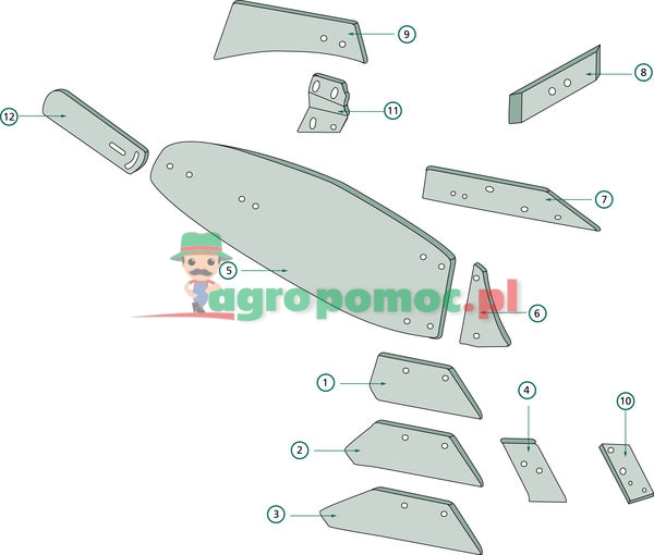 Pierś odkładnicy | 96087 | zdjęcie nr 2